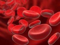 Ученые изобрели искусственную кровь