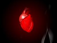 Գիտնականները սրտի անբավարարությունը կանխող մոլեկուլ են հայտնաբերել