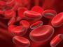 Գիտնականներն արհեստական արյուն են ստեղծել