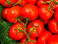 Ученые объяснили, почему помидоры не стоит хранить в холодильнике