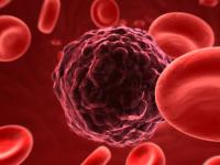 Т-лимфоциты могут помочь в лечении рака печени