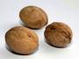 Грецкие орехи улучшают состояние сосудов и выводят токсины